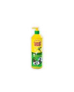 Home Power Dish Washing Pump 600ML x 1's (12 PCS)