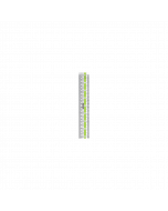 APOLO Ruler #20CM x 1's (10 PCS)