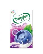 Youngfun Flavoured Milk Drink#Blueberry 250ML x 24's (1 CTN)