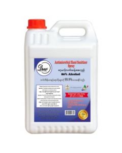 Dew Disinfectant Hand Spray 1GAL (1 PCS)