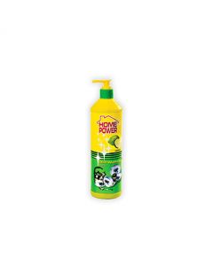 Home Power Dish Washing Pump 600ML x 1's (12 PCS)