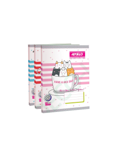 APOLO Exercise Book 80Pages #60GSM / Double Line x 12's (1 PKT)