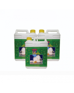 Daily Dish Washing Liquid Refill 2L x 1's (4 PCS)