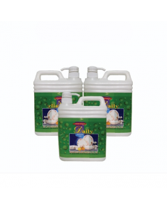 Daily Dish Washing Liquid with Pump 2L x 1's (4 PCS)