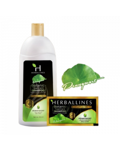 Herballines Botanic Treatment Shampoo #PENNYWORT Green 300ML x 1's (3 PCS)