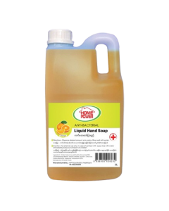 Home Power Hand Wash #New 3L (12 PCS)