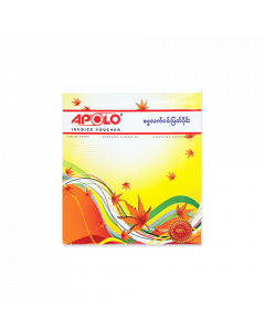 APOLO Invoice #5.3x7.75" / 200Pages x 1's (3 PCS)